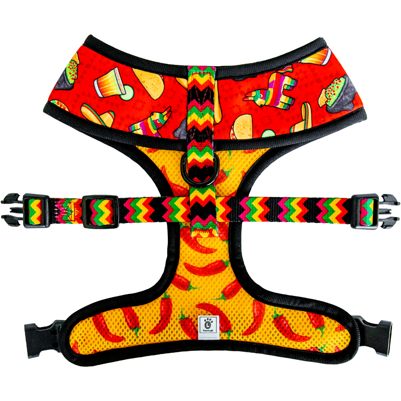 Taco Tuesday Reversible Harness – Reversible Harness | Doggo Dream Shop