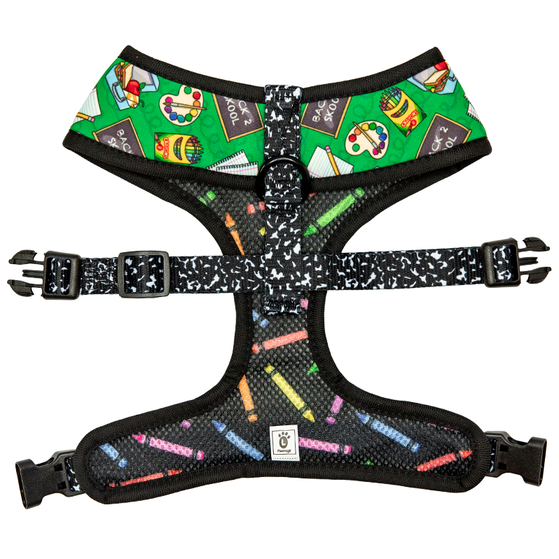 Teacher's Pet Reversible Harness – Reversible Harness | Doggo Dream Shop