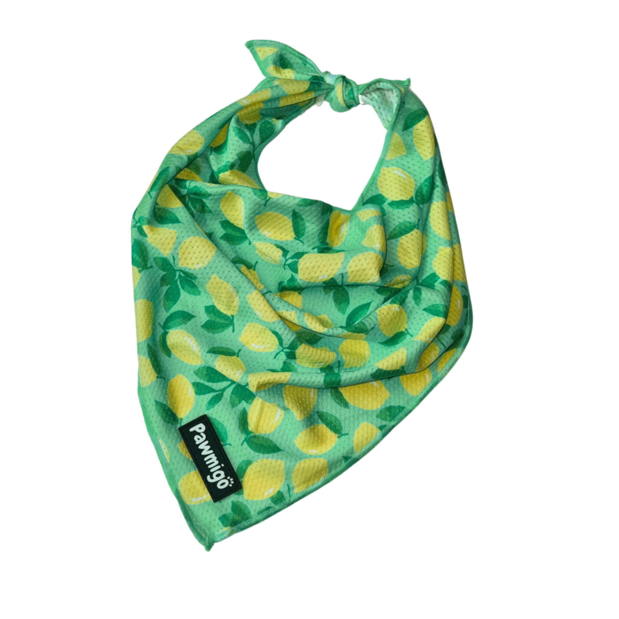 Worth The Squeeze Cooling Bandana – Seasonal Bandana | Doggo Dream Shop