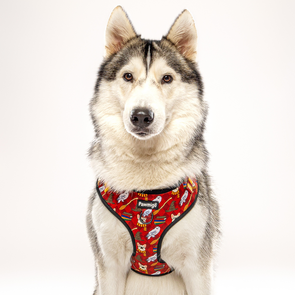 Pawgwarts Everyday Adjustable No-Pull Dog Harness – Adjustable Harness | Doggo Dream Shop
