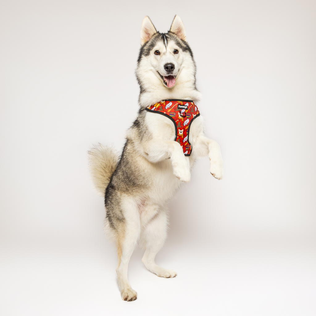 Pawgwarts Everyday Adjustable No-Pull Dog Harness – Adjustable Harness | Doggo Dream Shop