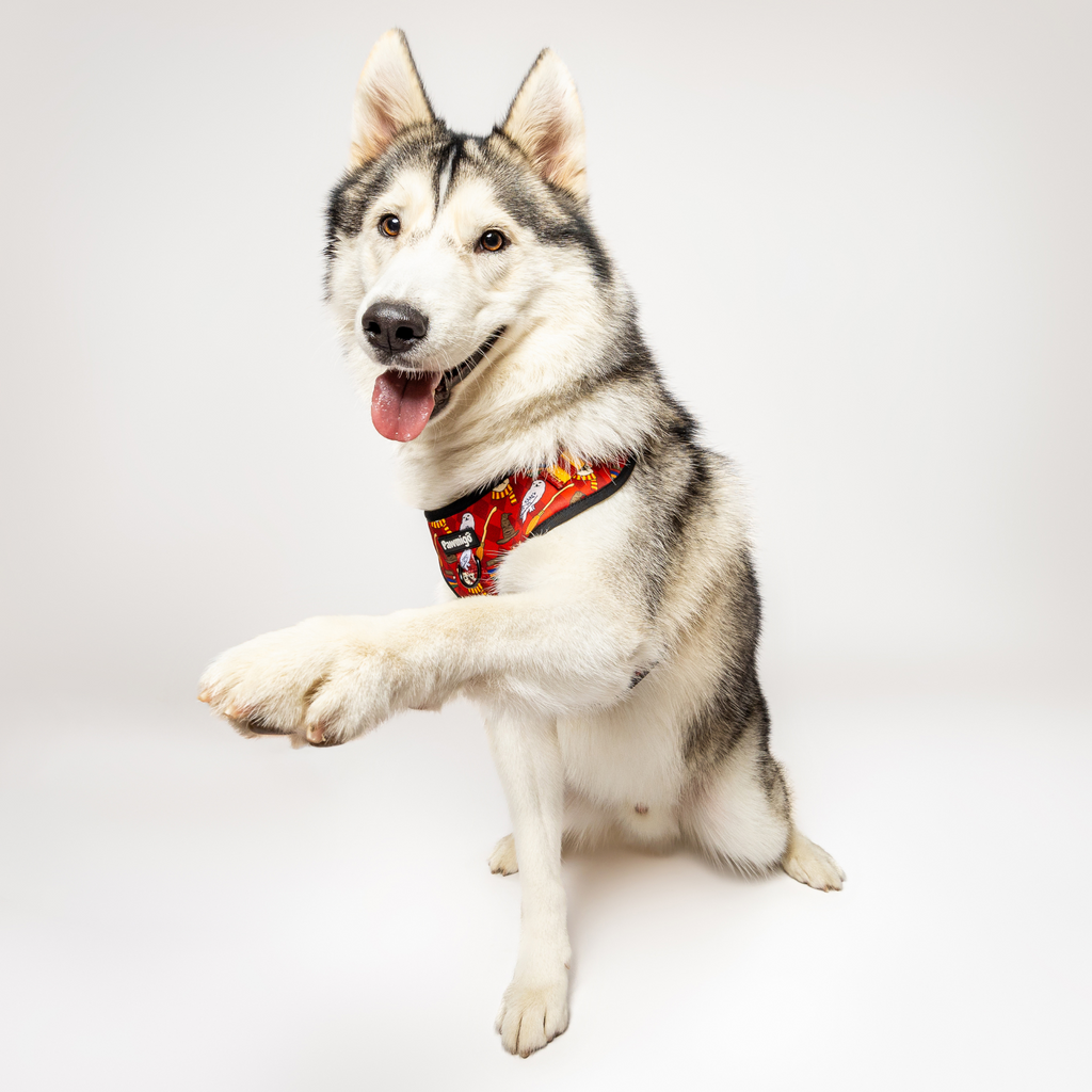 Pawgwarts Everyday Adjustable No-Pull Dog Harness – Adjustable Harness | Doggo Dream Shop