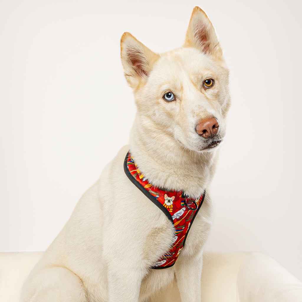 Pawgwarts Everyday Adjustable No-Pull Dog Harness – Adjustable Harness | Doggo Dream Shop