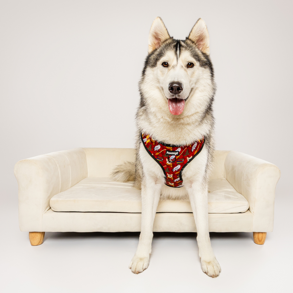Pawgwarts Everyday Adjustable No-Pull Dog Harness – Adjustable Harness | Doggo Dream Shop
