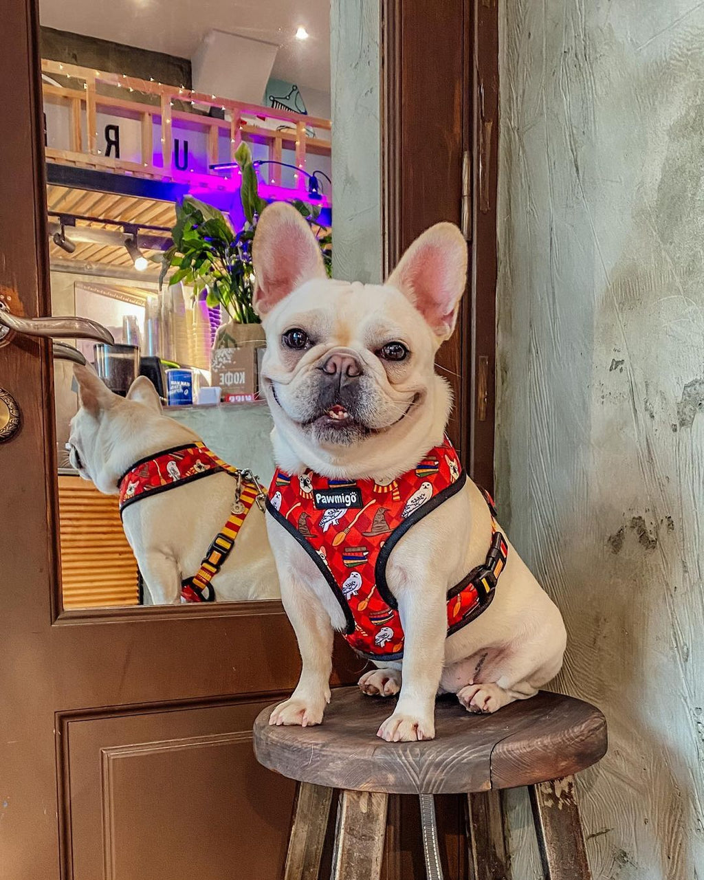 Pawgwarts Reversible Harness – Reversible Harness | Doggo Dream Shop