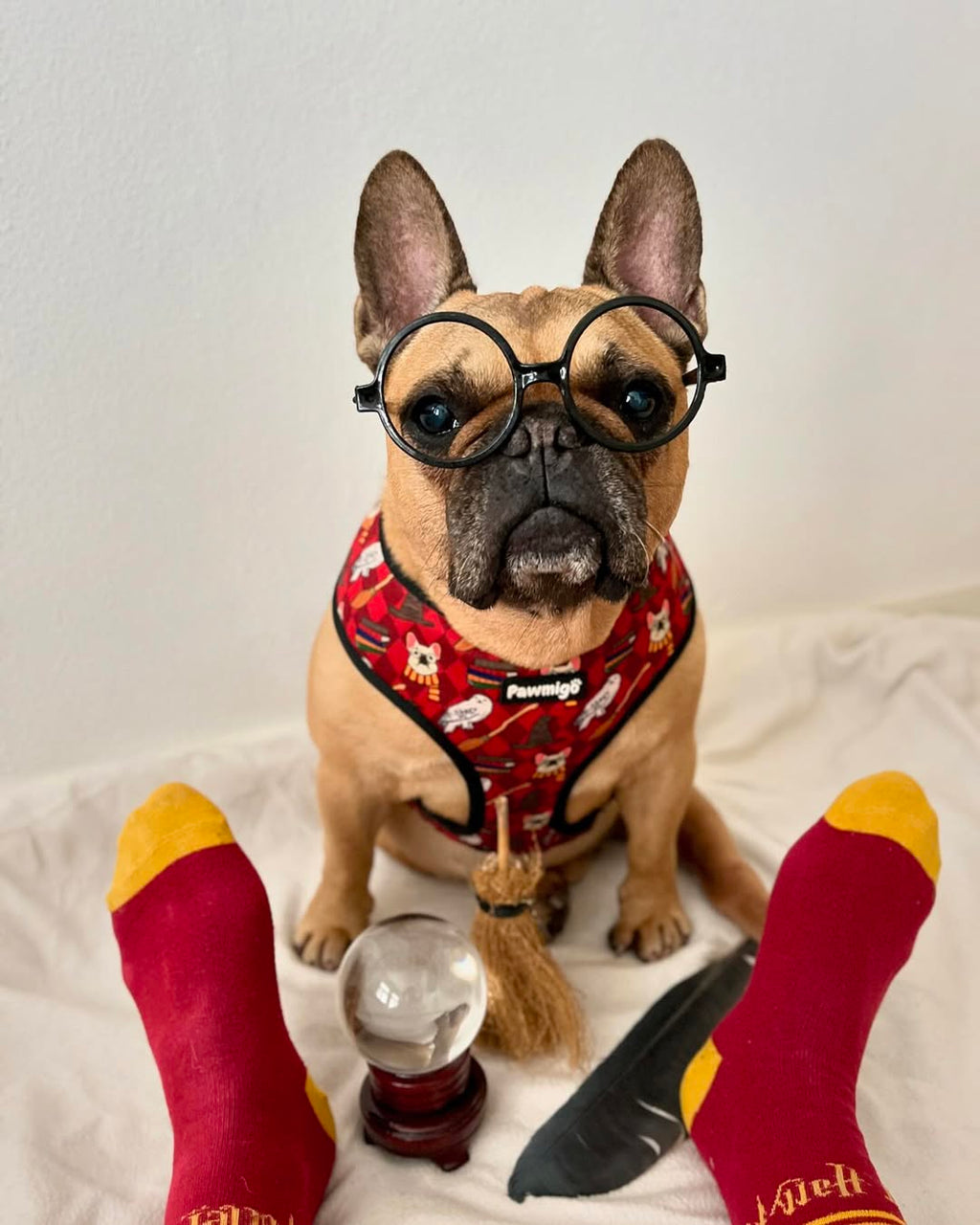 Pawgwarts Reversible Harness – Reversible Harness | Doggo Dream Shop