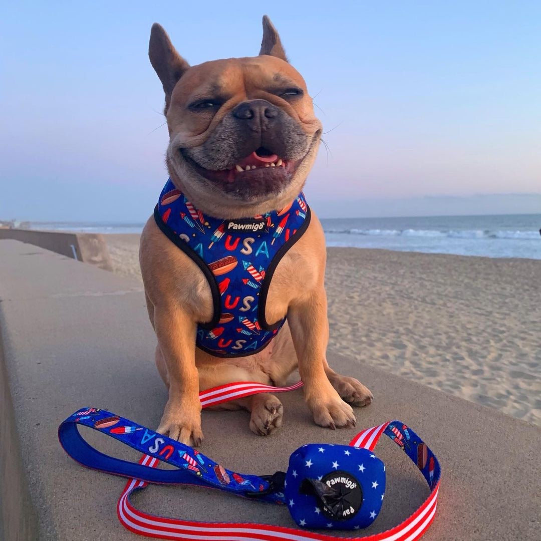 Red, White & Bark Leash Kit – Leash Kit | Doggo Dream Shop