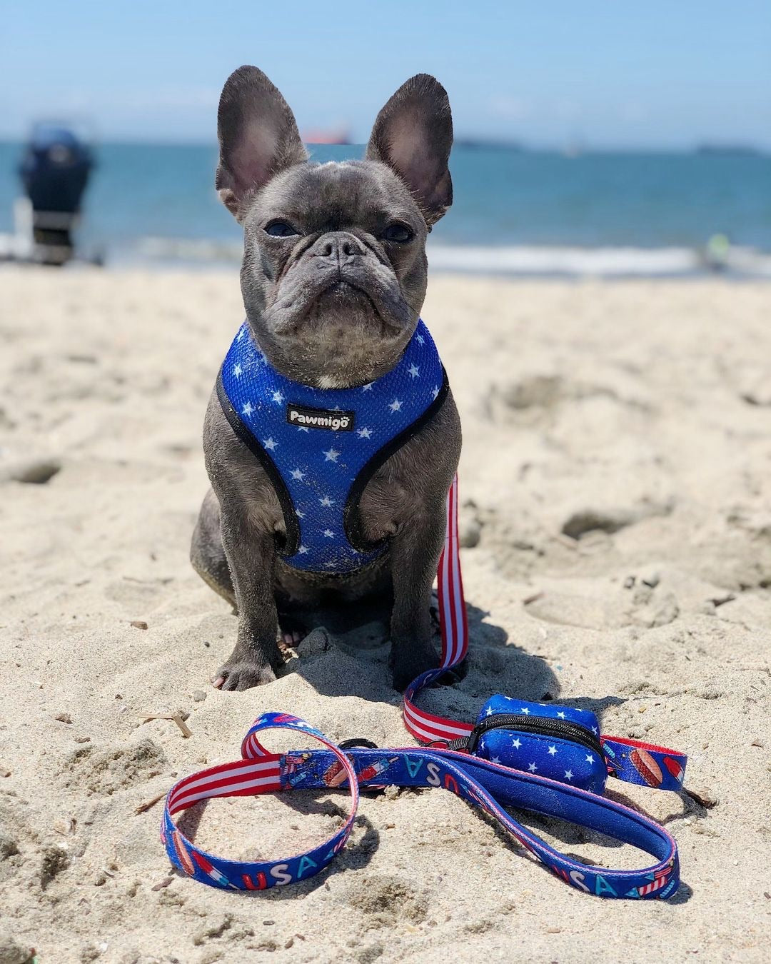 Red, White & Bark Reversible Harness – Reversible Harness | Doggo Dream Shop