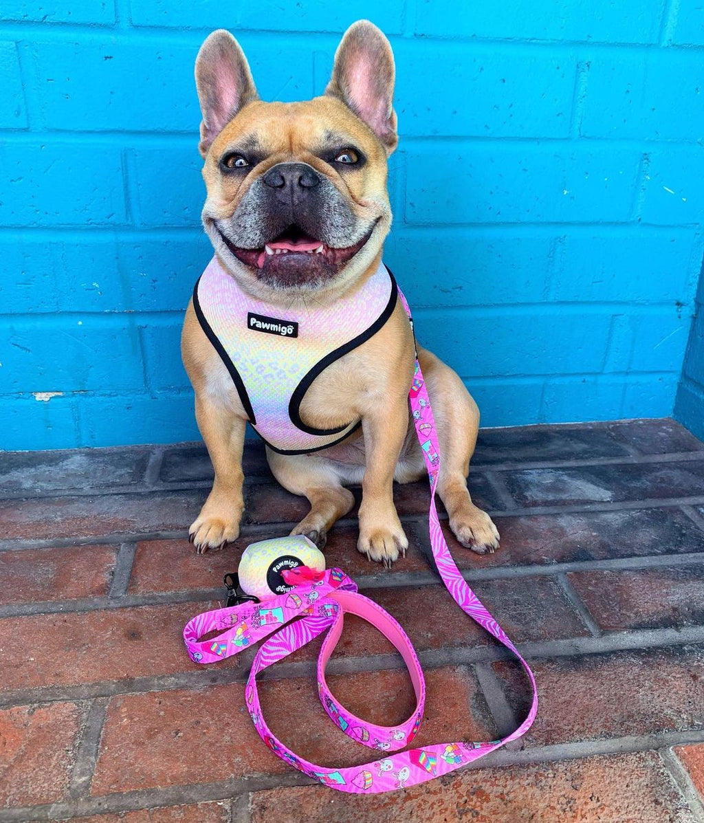 Slumber Pawty Reversible Harness – Reversible Harness | Doggo Dream Shop