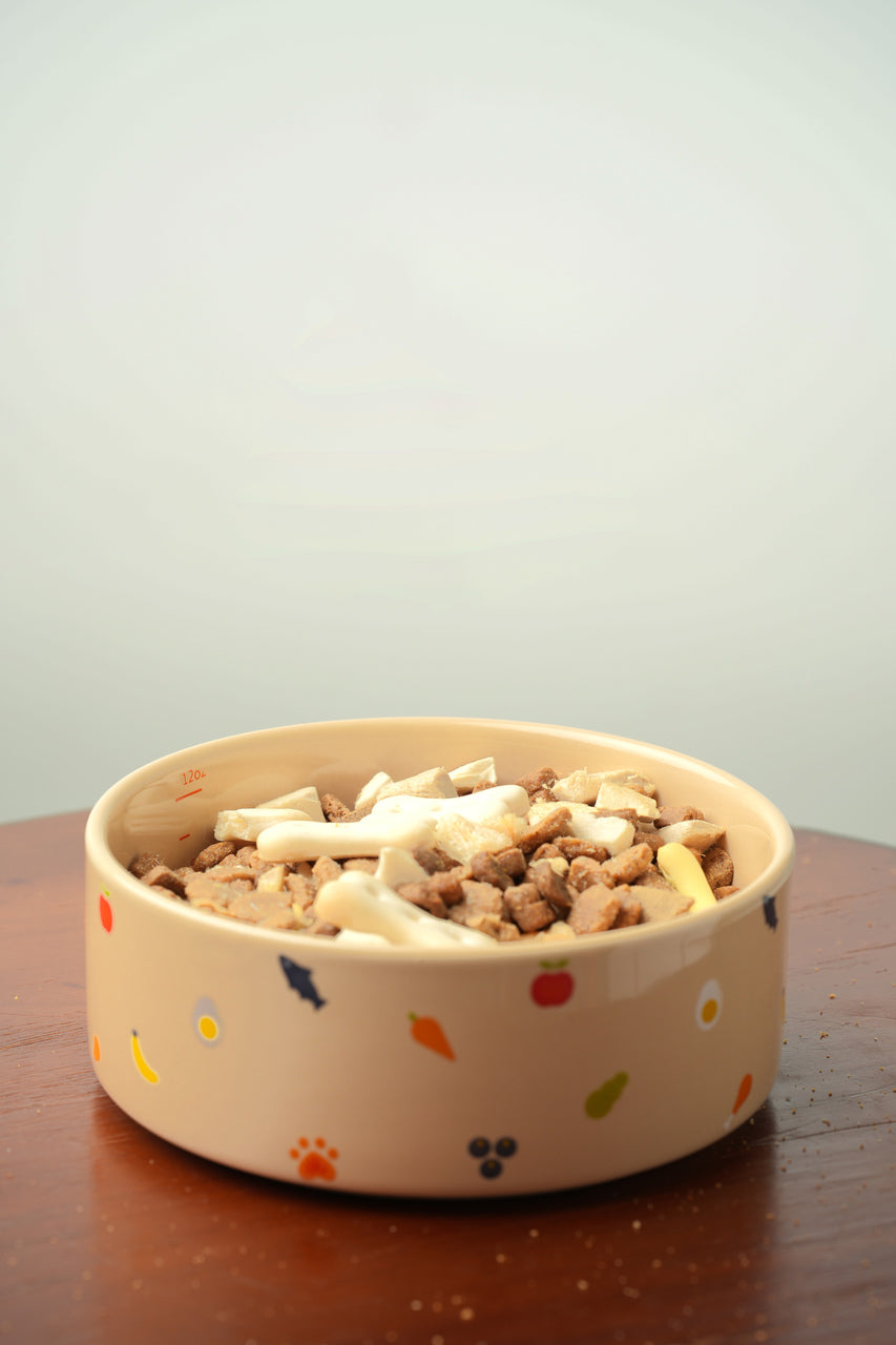 Nomnom Ceramic Dog Bowl – Food-Grade Stoneware, Non-Slip, Dishwasher Safe
