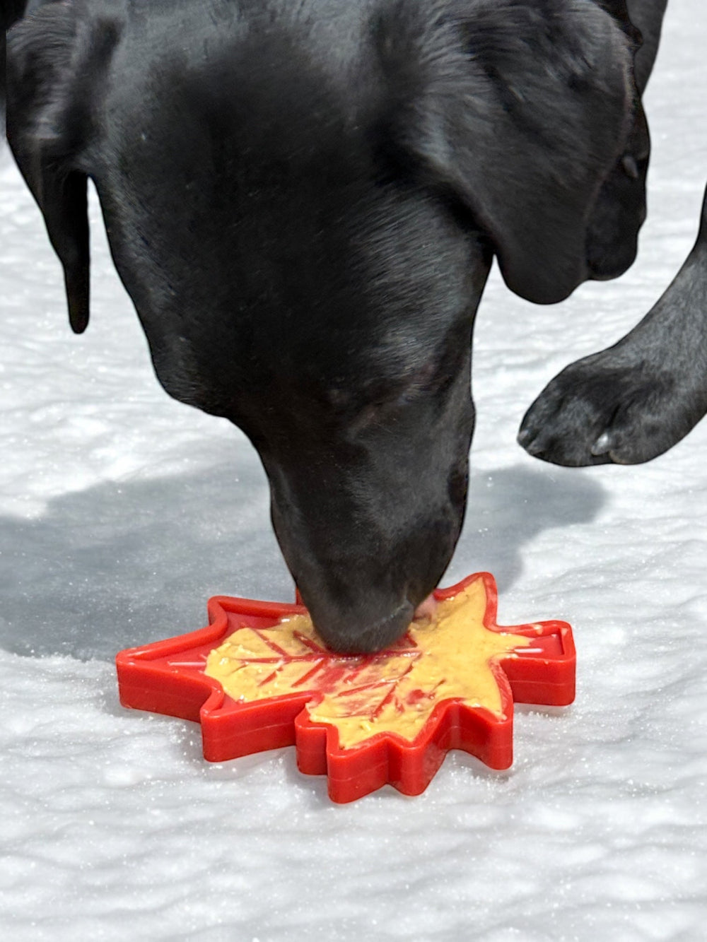Canadian Maple Leaf Nylon Dog Chew Toy for Aggressive Chewers | USA Made