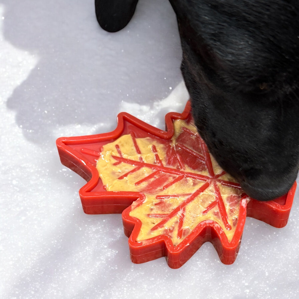 Canadian Maple Leaf Nylon Dog Chew Toy for Aggressive Chewers | USA Made