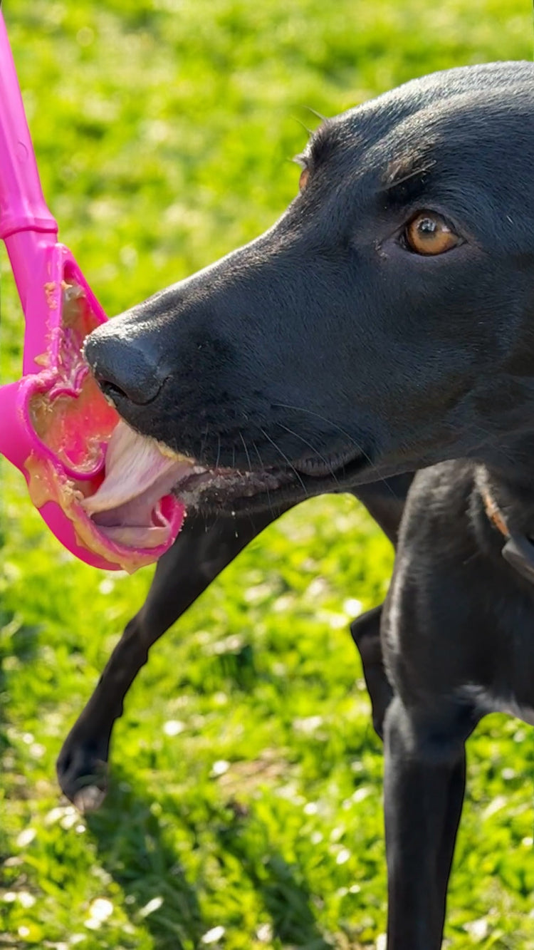 eStick Hand-Held Lick Stick Dog Enrichment Toy | USA Made