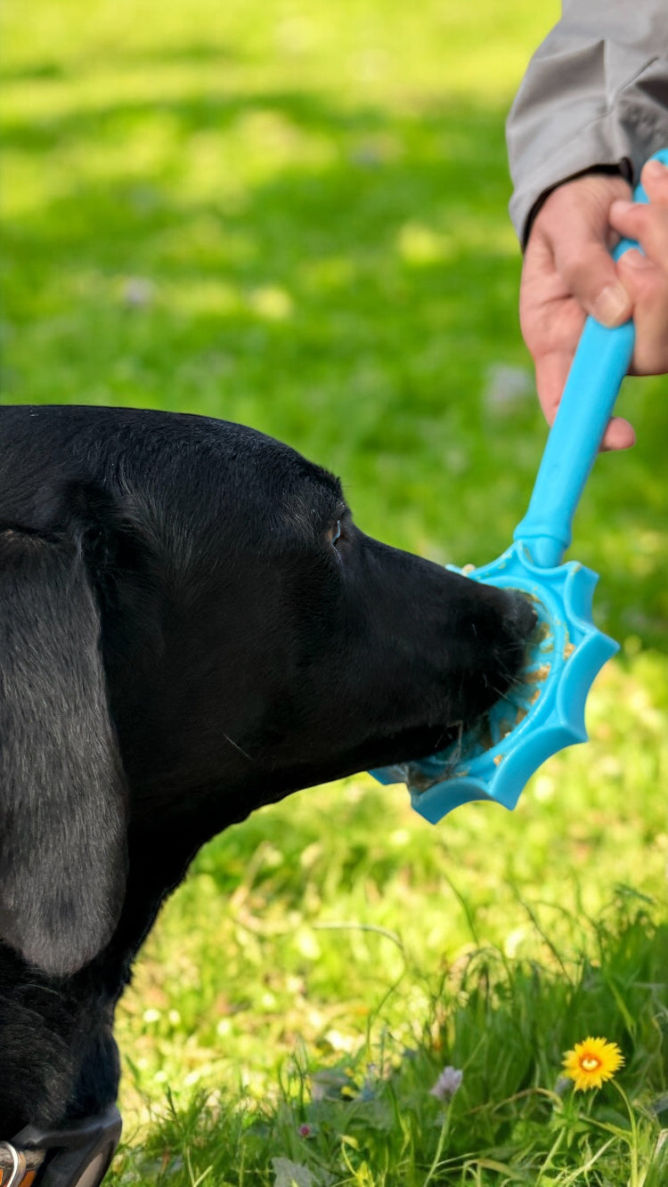 eStick Hand-Held Lick Stick Dog Enrichment Toy | USA Made