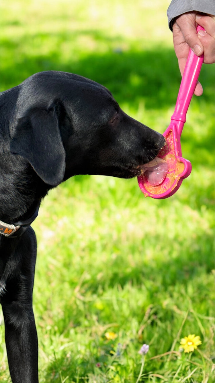 eStick Hand-Held Lick Stick Dog Enrichment Toy | USA Made