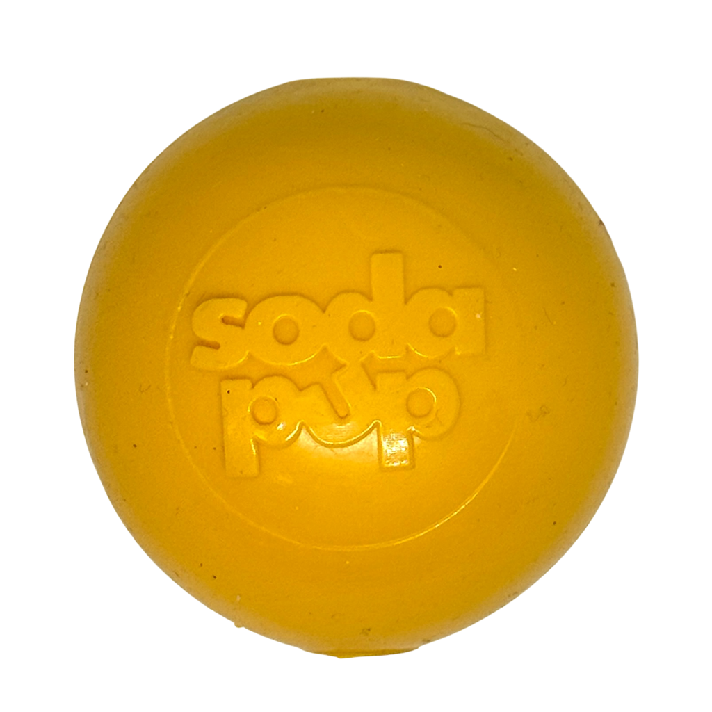Squeak Ball – Durable Squeaky Dog Toy That Floats | USA Made