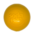 Squeak Ball – Durable Squeaky Dog Toy That Floats | USA Made