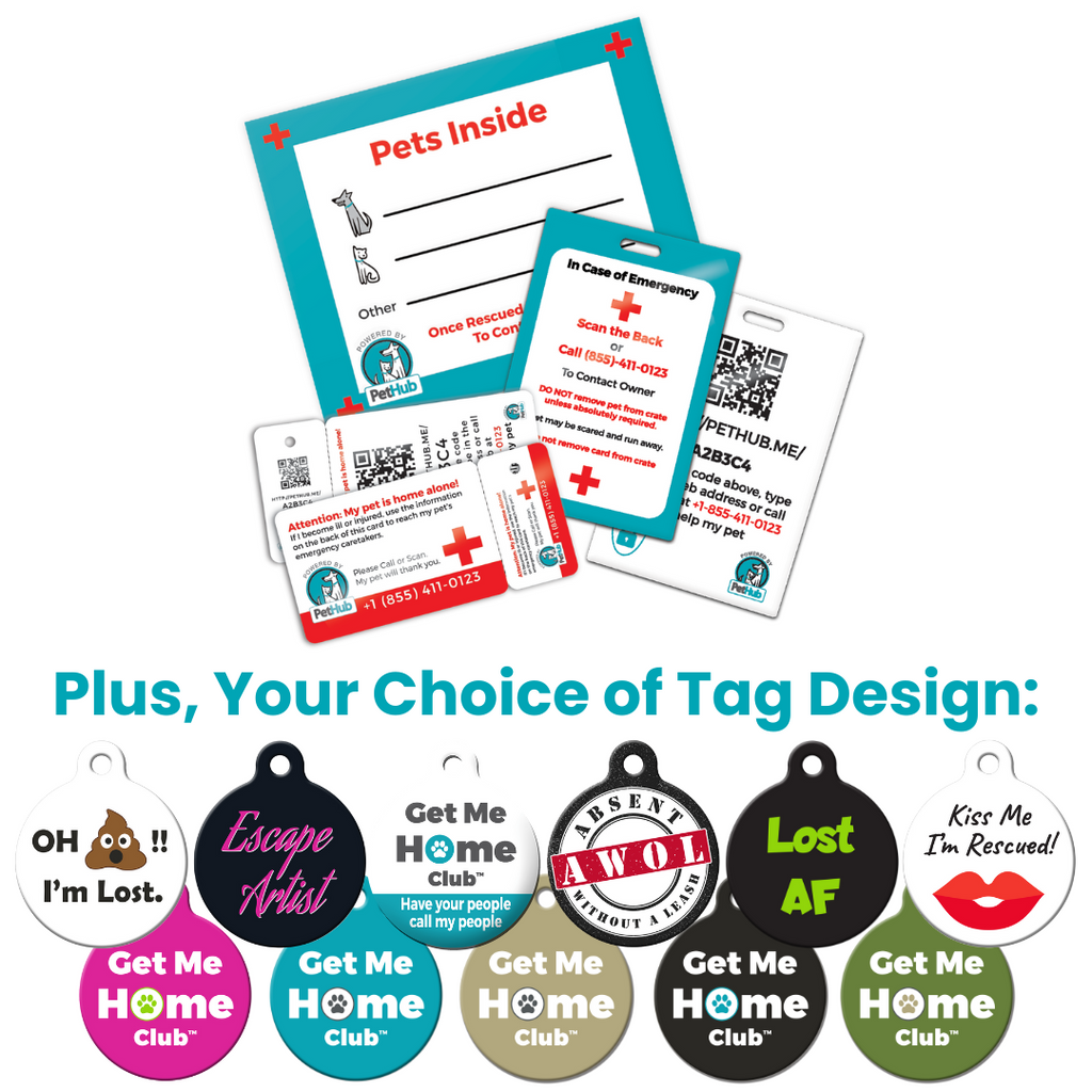 PetHub QR Pet ID Comprehensive ReadyKit – Complete Emergency Kit – Digital Pet ID Tag | Doggo Dream Shop