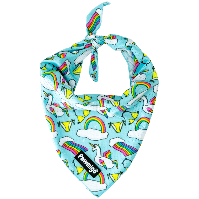 Pool Pawty Bandana – Seasonal Bandana | Doggo Dream Shop