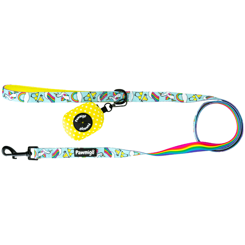 Pool Pawty Leash Kit – Leash Kit | Doggo Dream Shop