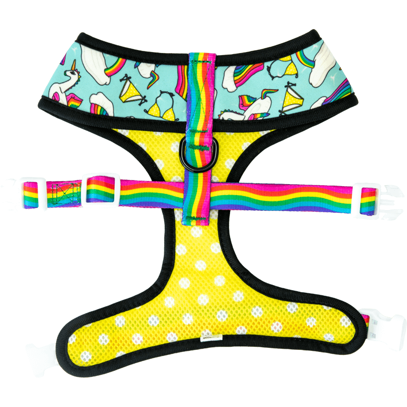 Pool Pawty Reversible Harness – Reversible Harness | Doggo Dream Shop