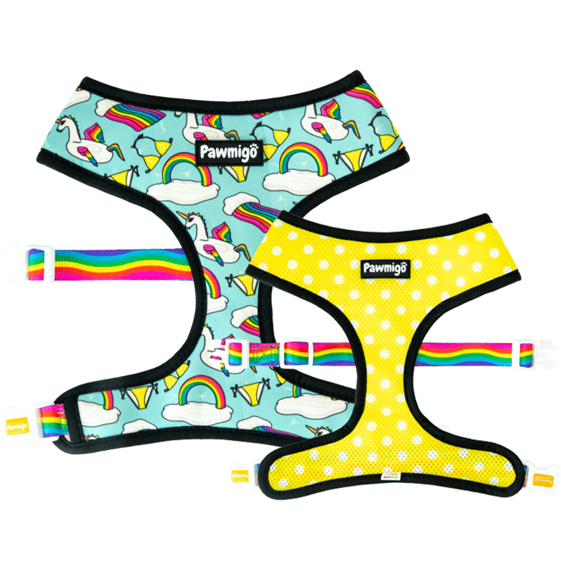 Pool Pawty Reversible Harness – Reversible Harness | Doggo Dream Shop