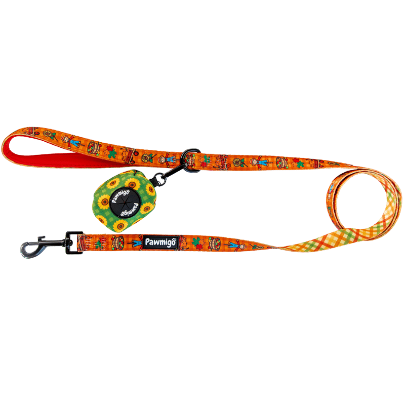 Pupkin Patch Leash Kit – Leash Kit | Doggo Dream Shop