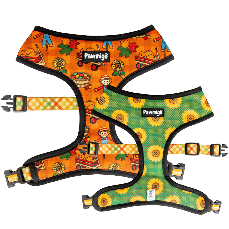 Pupkin Patch Reversible Harness – Reversible Harness | Doggo Dream Shop