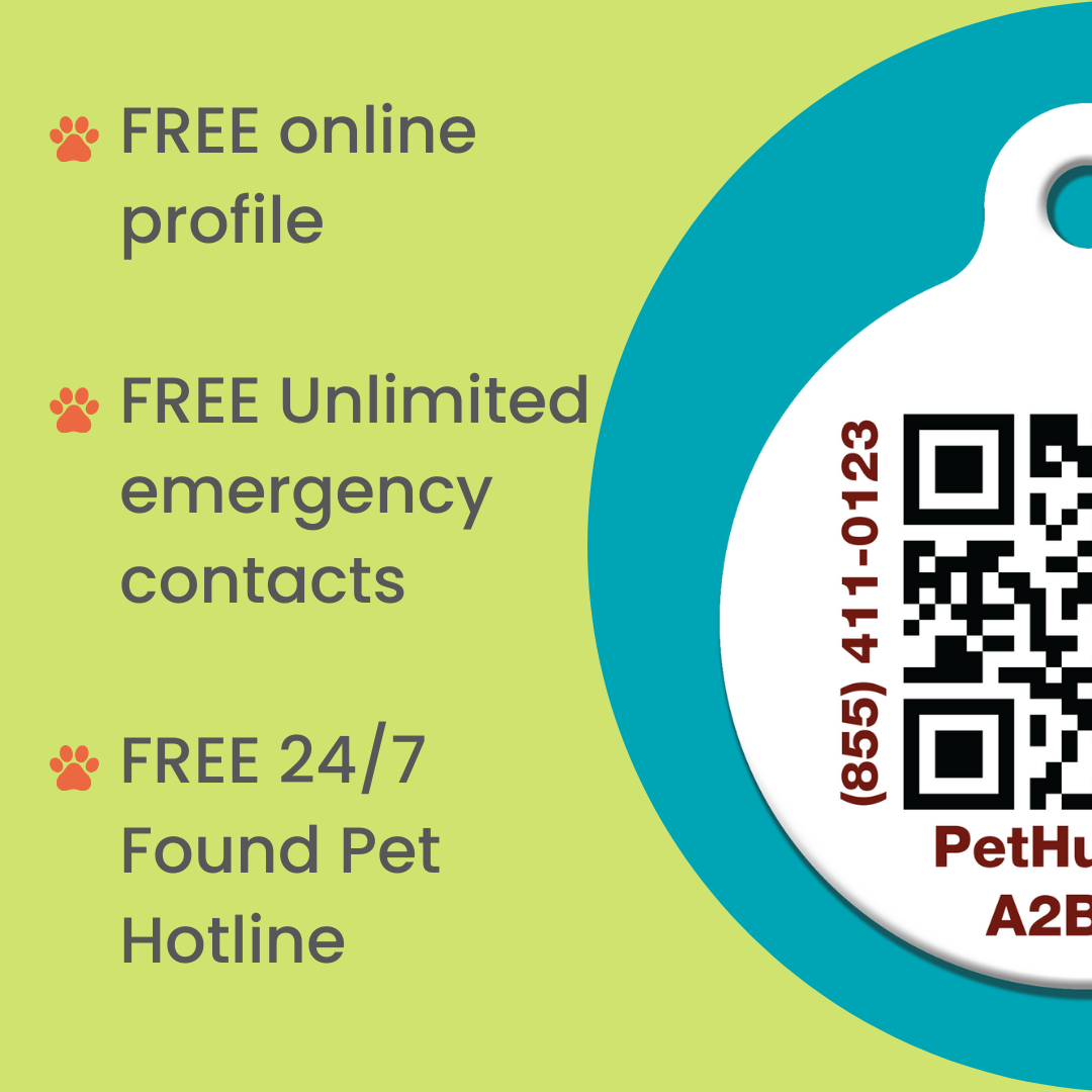 PetHub QR Pet ID Mini ReadyKit – Pet ID Tag | Doggo Dream Shop