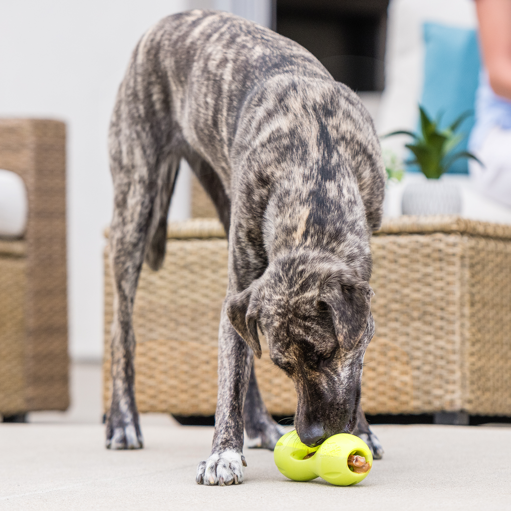West Paw Qwizl Treat Dispensing Chew Toy for Dogs