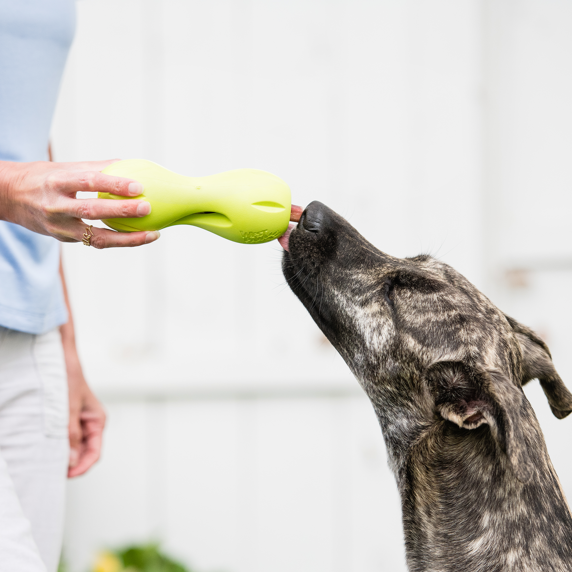 West Paw Qwizl Treat Dispensing Chew Toy for Dogs