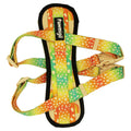 Chasing Rainbows X-Fit Harness – X-Fit Harness | Doggo Dream Shop