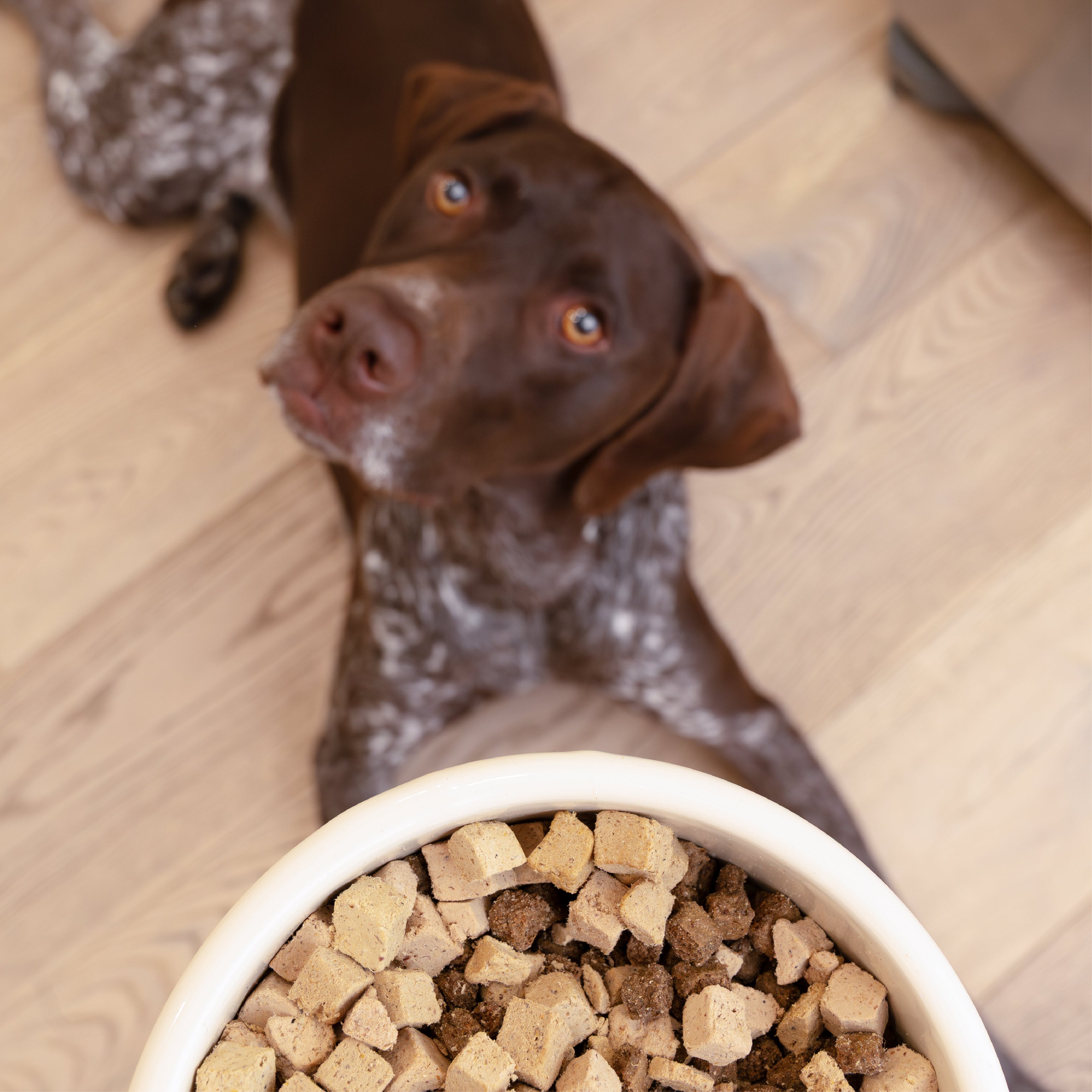 West Paw Trout & Beef Dog Food Topper