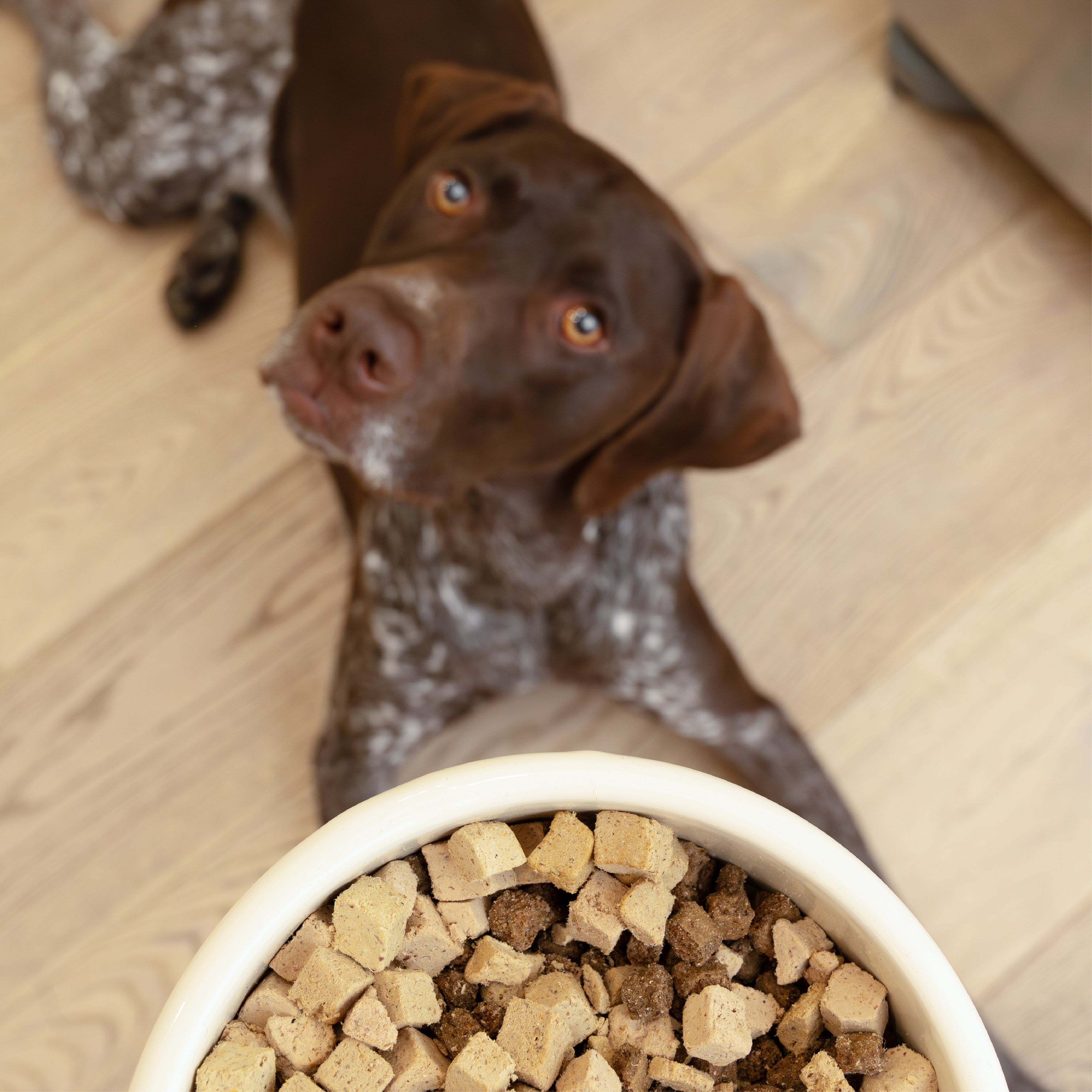 West Paw Chicken Dog Food Topper