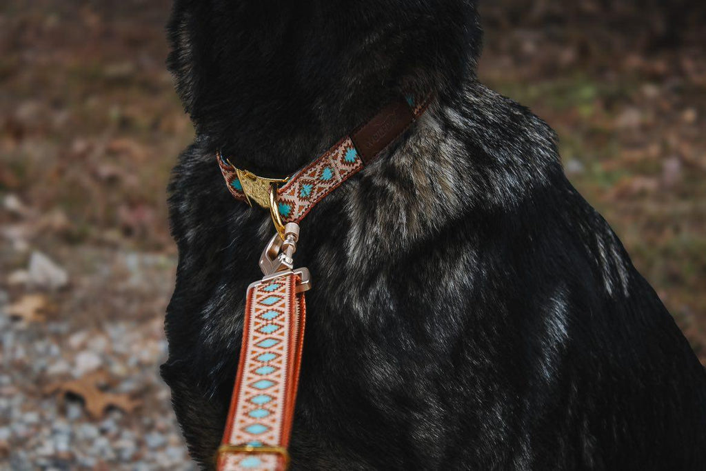 Southwest Spirit Leash – Leashes | Doggo Dream Shop