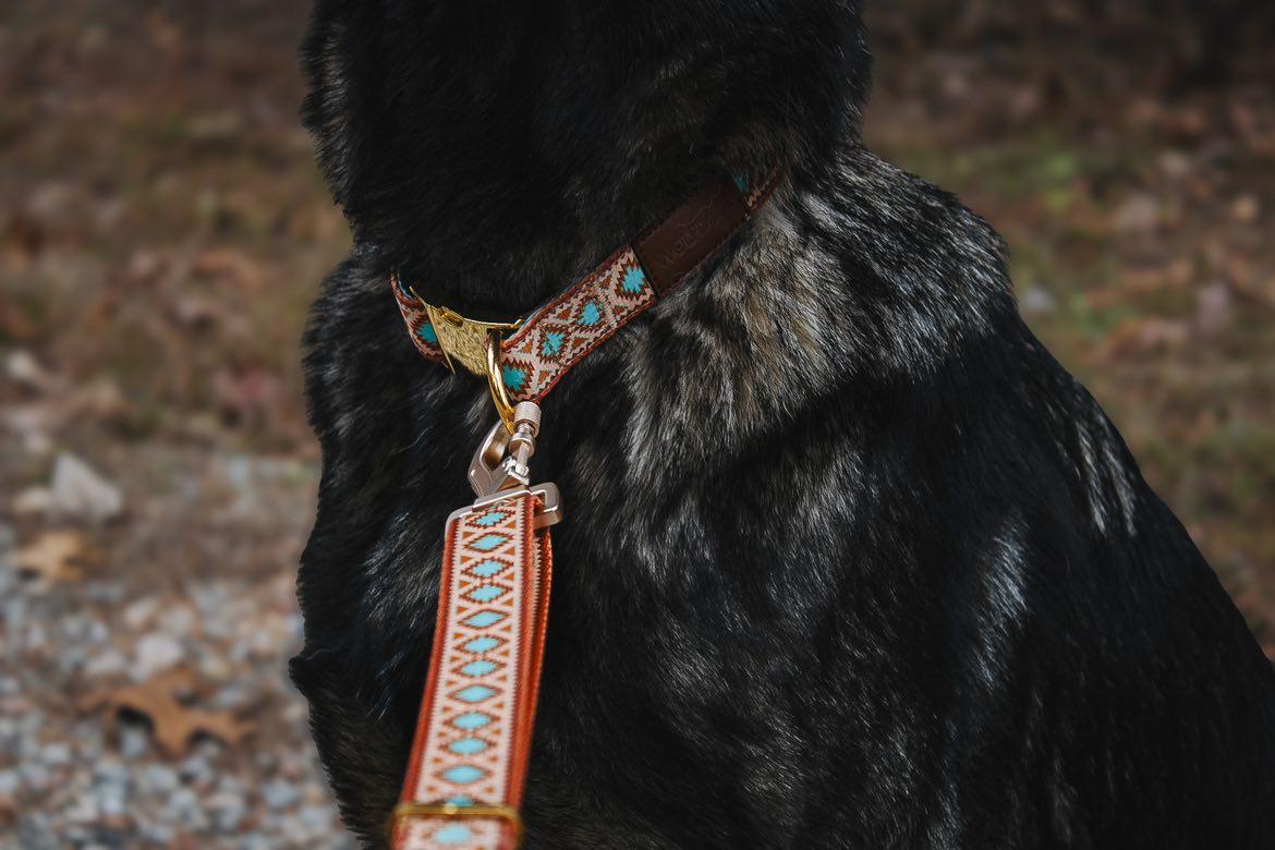 Southwest Spirit Leash – Leashes | Doggo Dream Shop