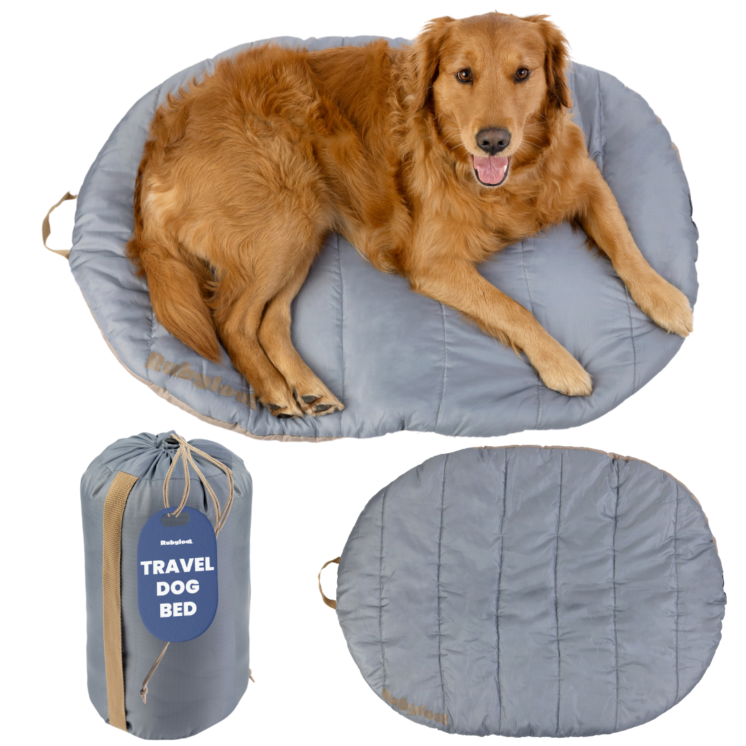 Foldable Travel Dog Bed – Packable, Waterproof & Ripstop Nylon | Rubyloo