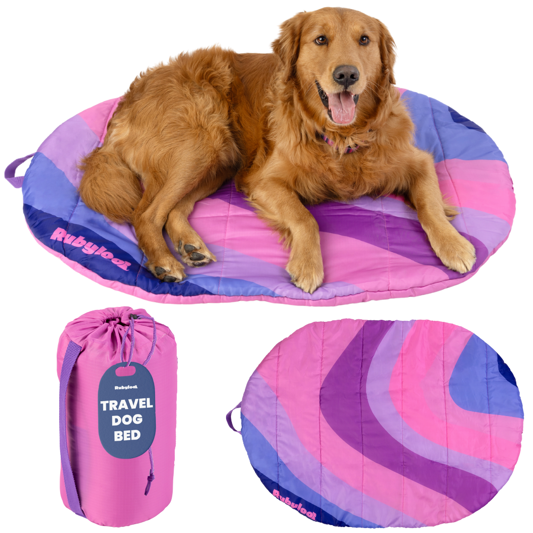 Foldable Travel Dog Bed – Packable, Waterproof & Ripstop Nylon | Rubyloo