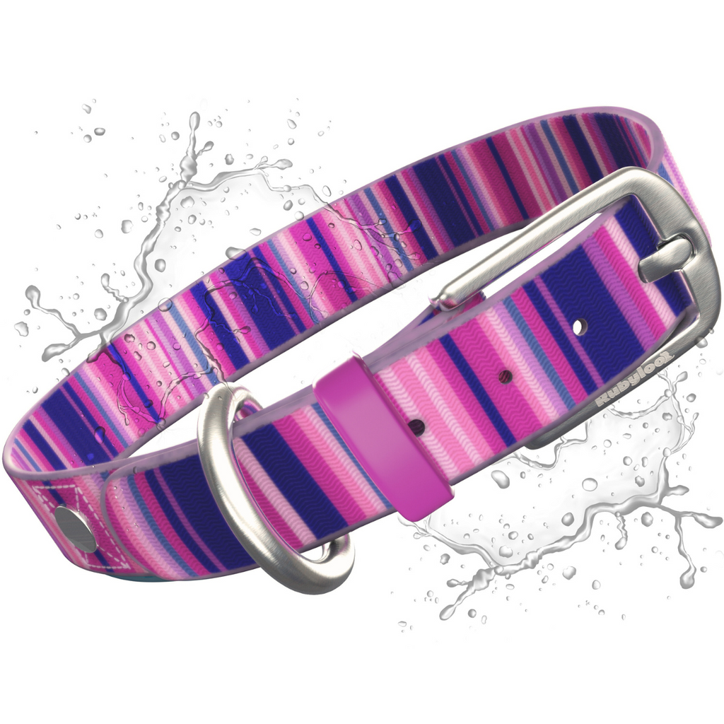Waterproof Dog Collar – Washable, Stink-Proof & Quick-Dry | Rubyloo