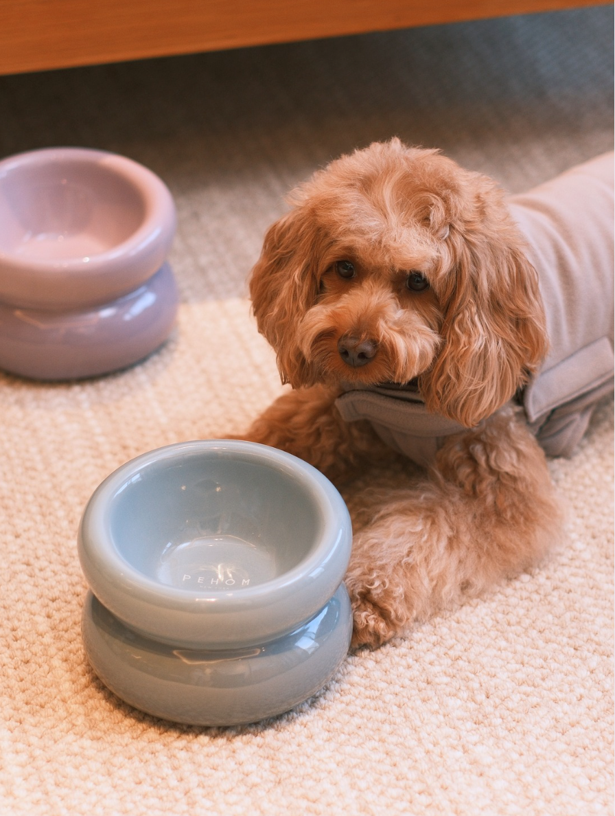 Soufflé Ceramic Dog Bowl – Frozen Blue