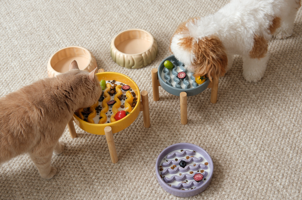 Macaroni Slow Feeder Dog Bowl – Ceramic, Non-Slip, Optional Wood Stand