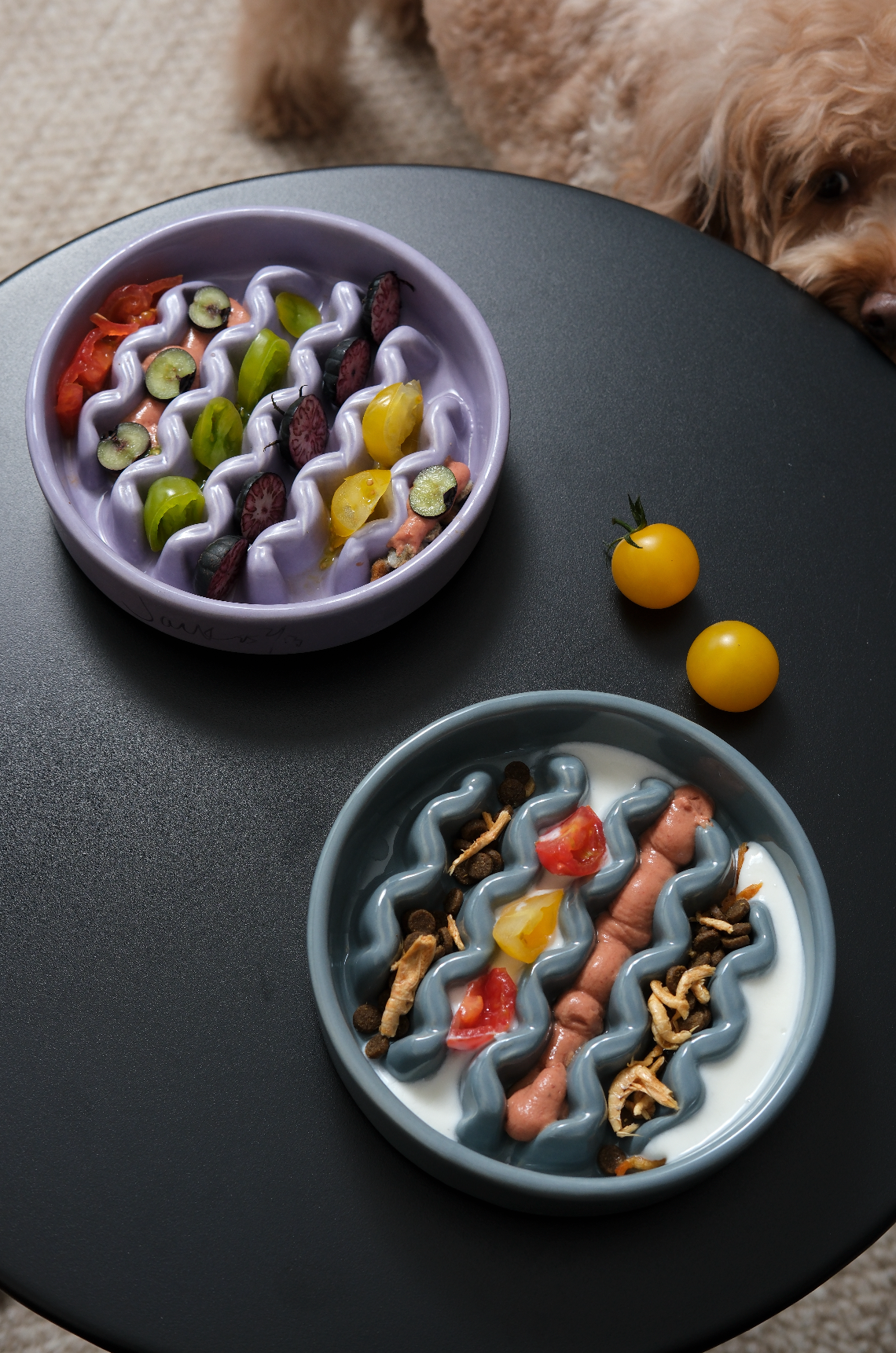 Macaroni Slow Feeder Dog Bowl – Ceramic, Non-Slip, Optional Wood Stand