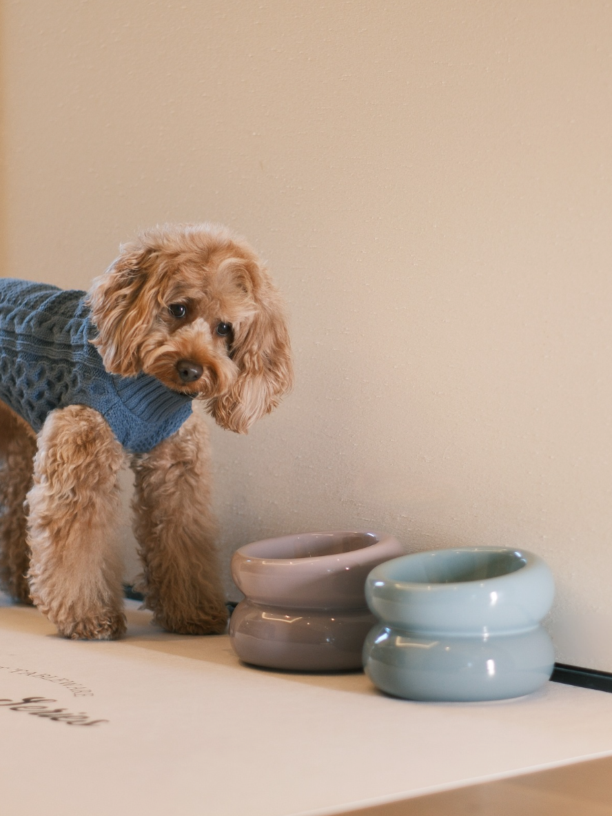 Soufflé Ceramic Dog Bowl – Frozen Blue