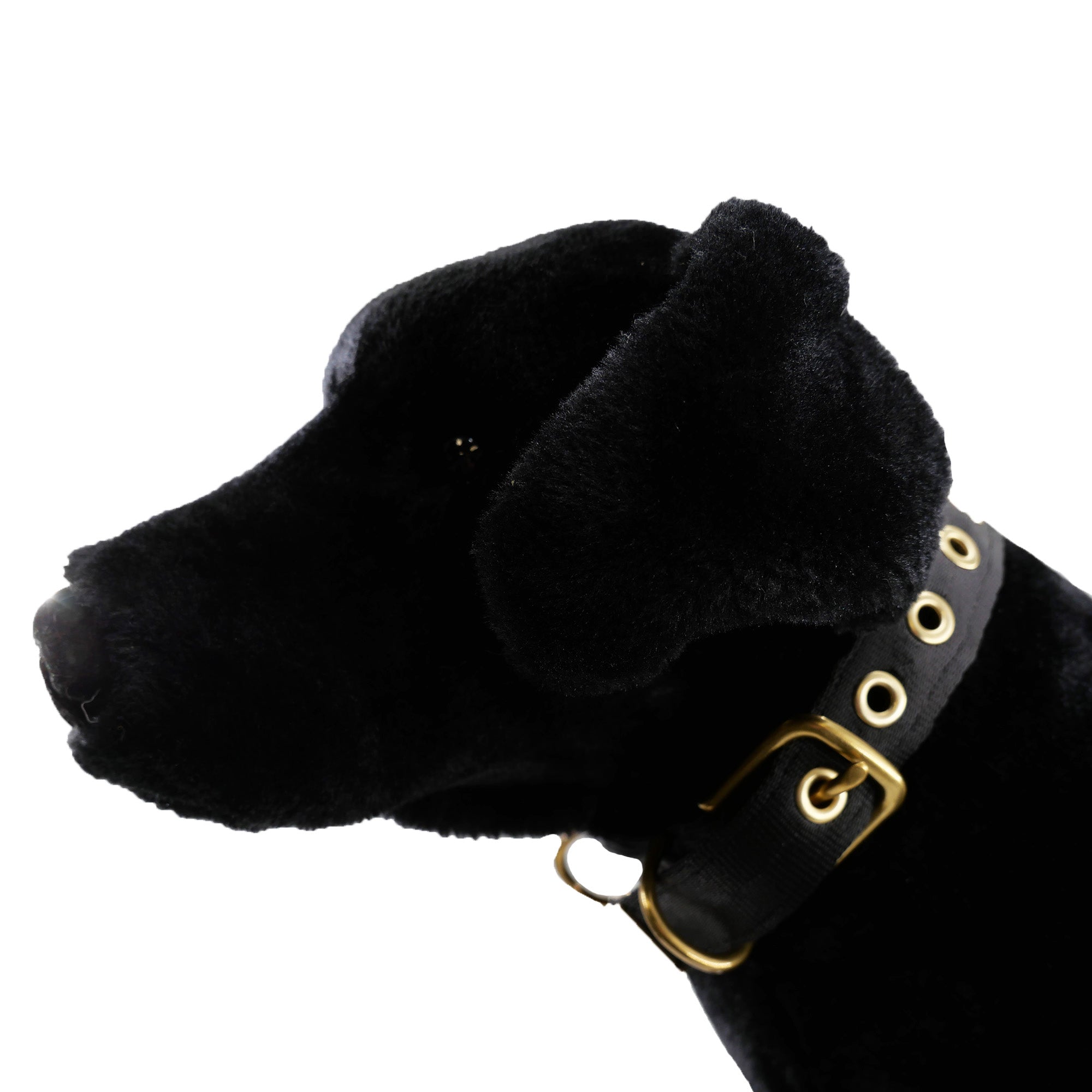 Collars Seatbelt – Dog Collar | Doggo Dream Shop