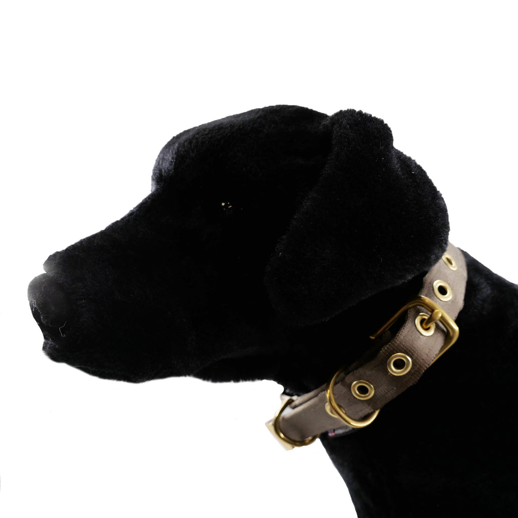 Collars Seatbelt – Dog Collar | Doggo Dream Shop