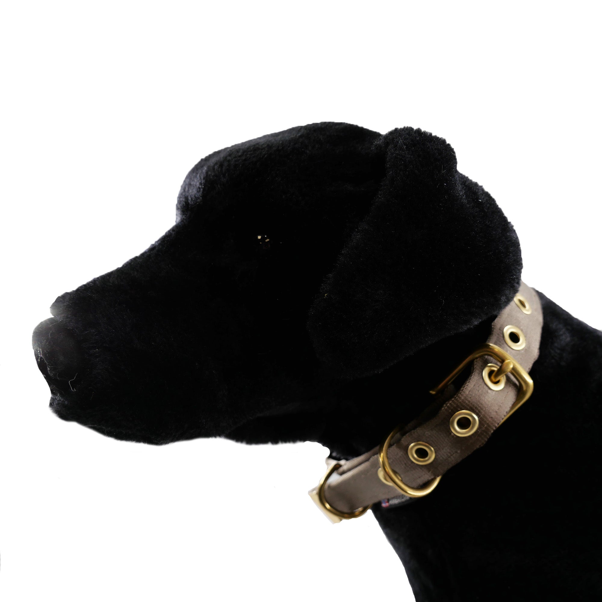 Collars Seatbelt – Dog Collar | Doggo Dream Shop
