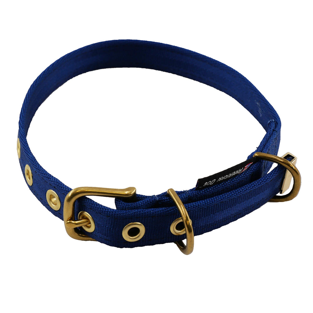 Collars Seatbelt – Dog Collar | Doggo Dream Shop