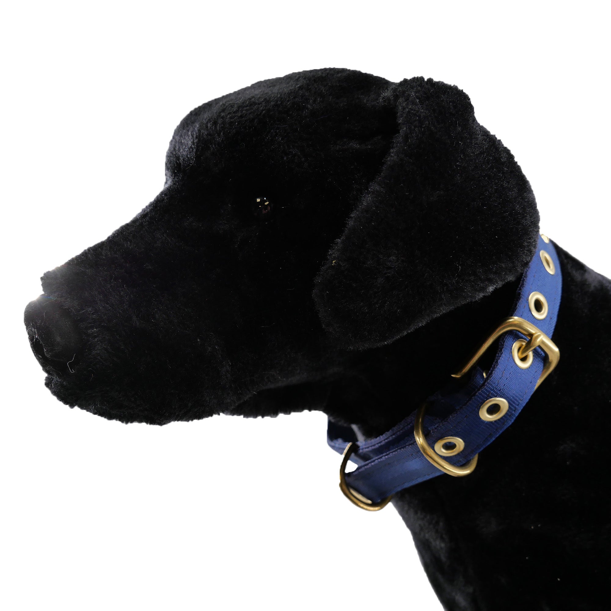 Collars Seatbelt – Dog Collar | Doggo Dream Shop