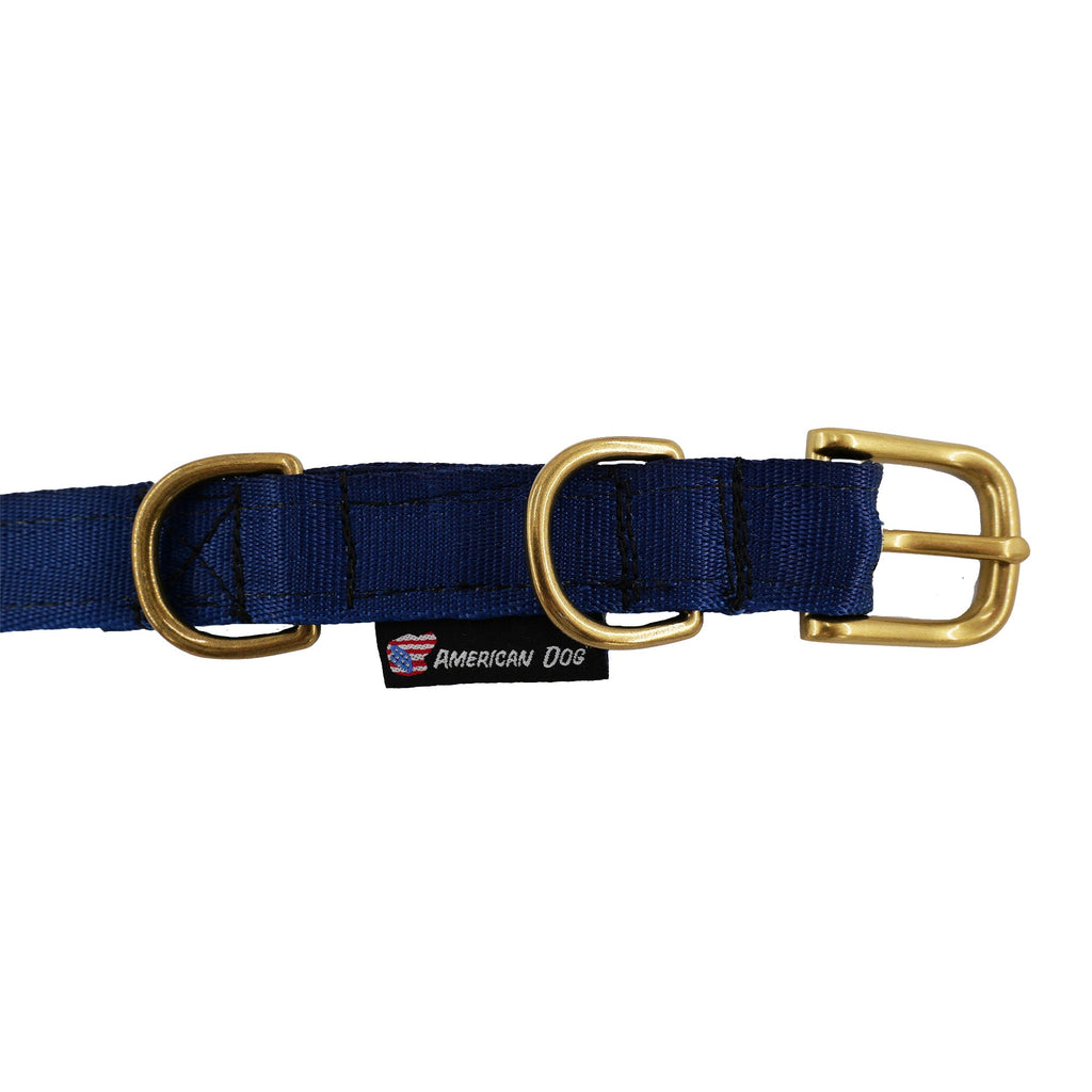 Collars Seatbelt – Dog Collar | Doggo Dream Shop