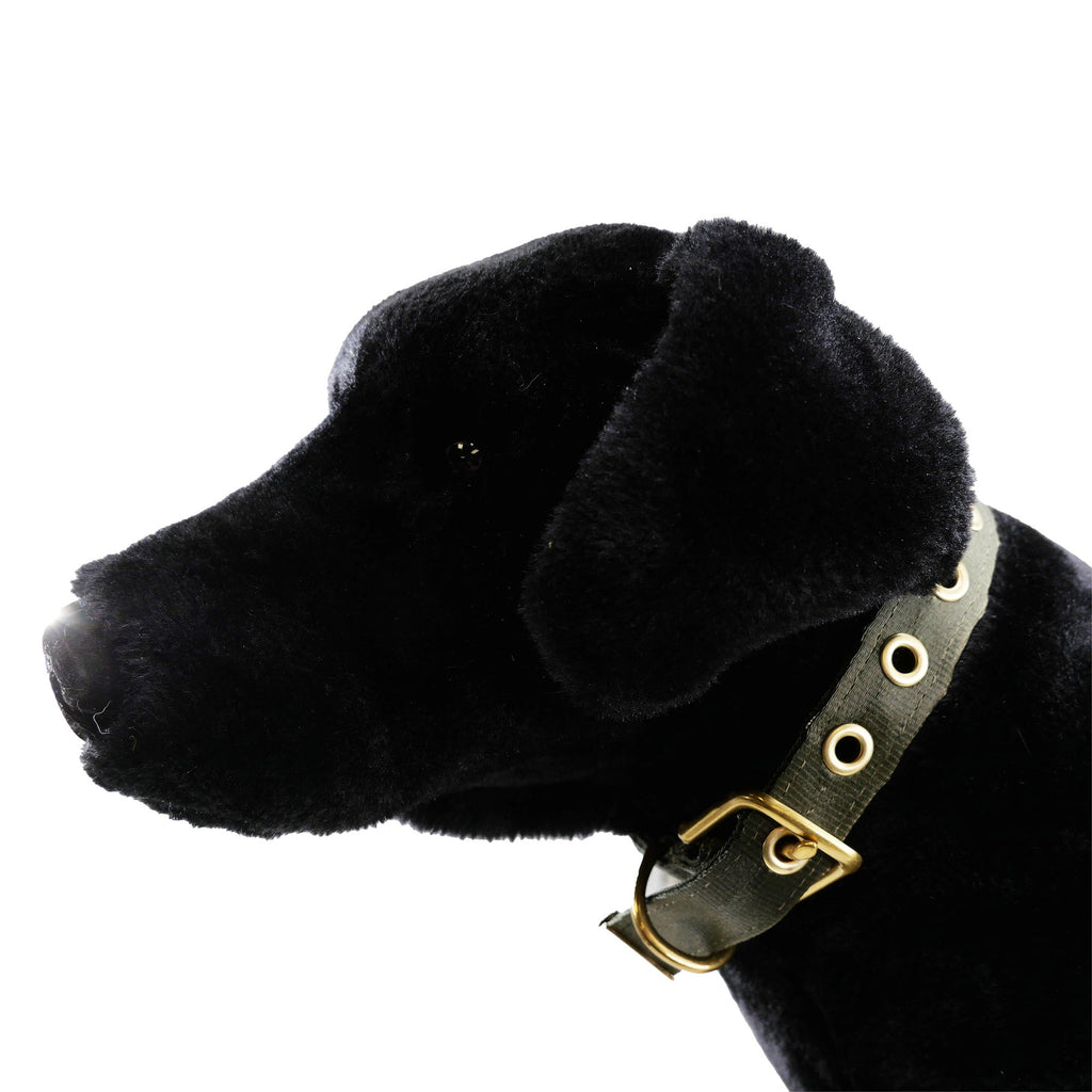 Collars Seatbelt – Dog Collar | Doggo Dream Shop